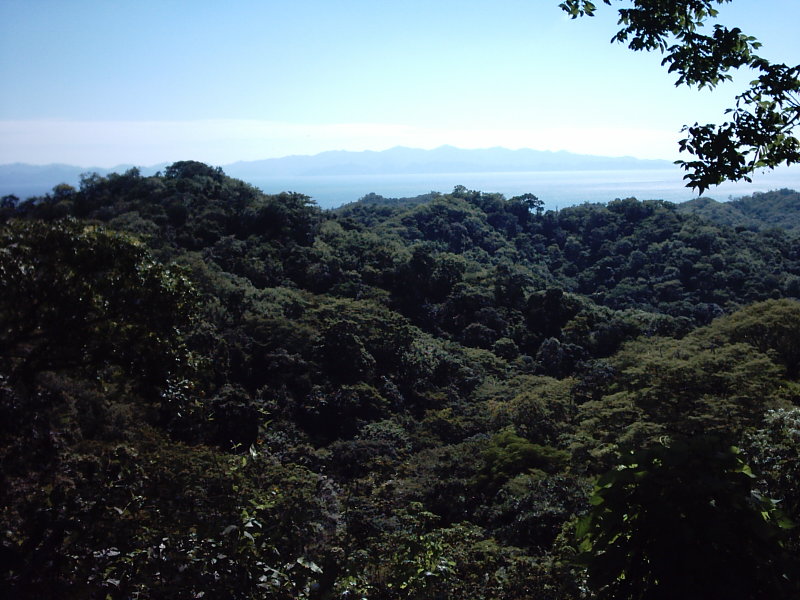 Nicaragua-Real-Estate-finca-ostional (6)