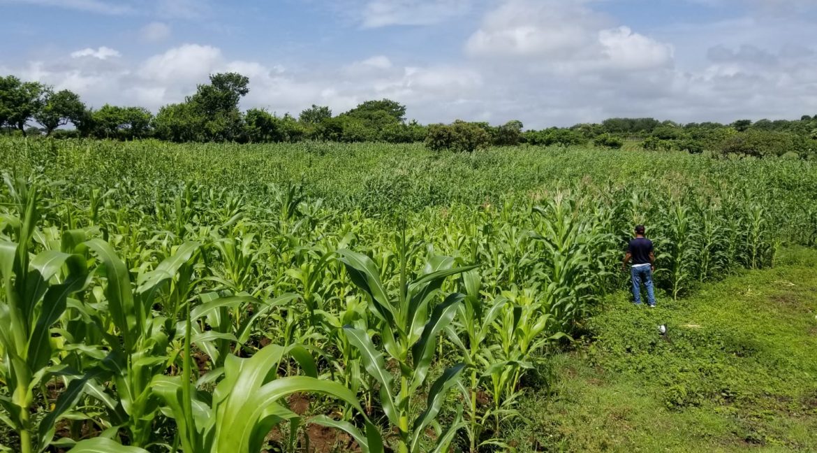 Terreno-Masaya-Nicaragua-Bienes-Raices 6