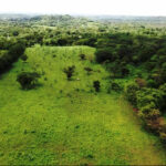 Nicaragua-real-estate-farm-land