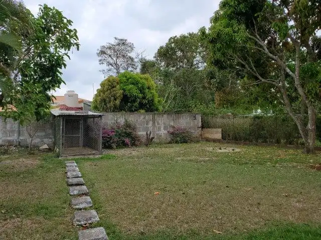 image - 2026-06-04T124725.432