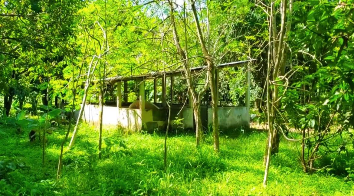 real estate (Tiempo 0_06_18;24)