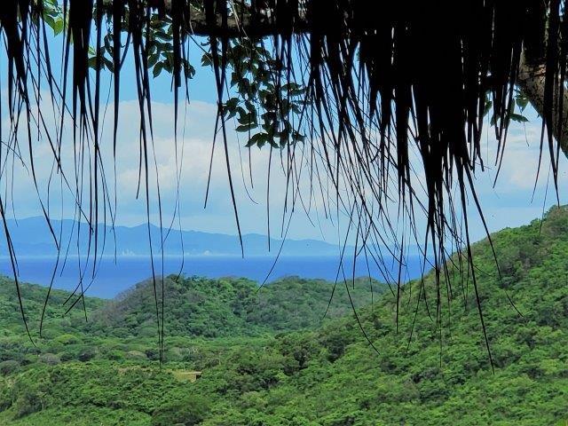 Off Grid+EcoFriendly+Homestead+Beach+ Nicaragua+San Juan Del Sur (62)