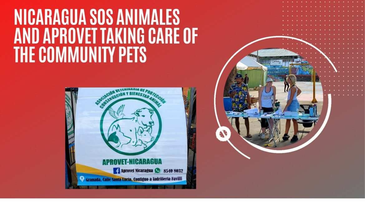 Nicaragua-animal-care