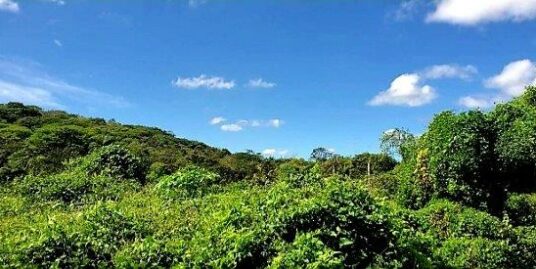 Nicaragua real estate farm land for sale in Nagarote 525 mza