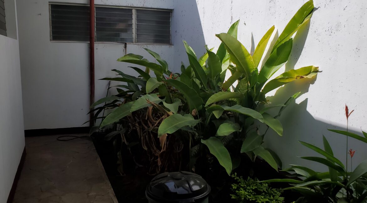 HOME-FOR-RENT-LEON-NICARAGUA (2)