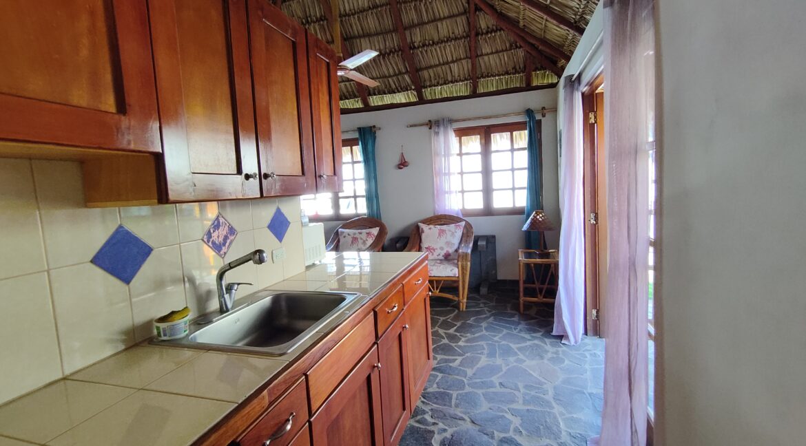 ocean-view-property-for-sale-pochomil-beach (140)
