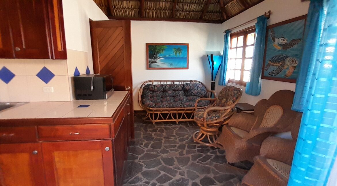 ocean-view-property-for-sale-pochomil-beach (20)