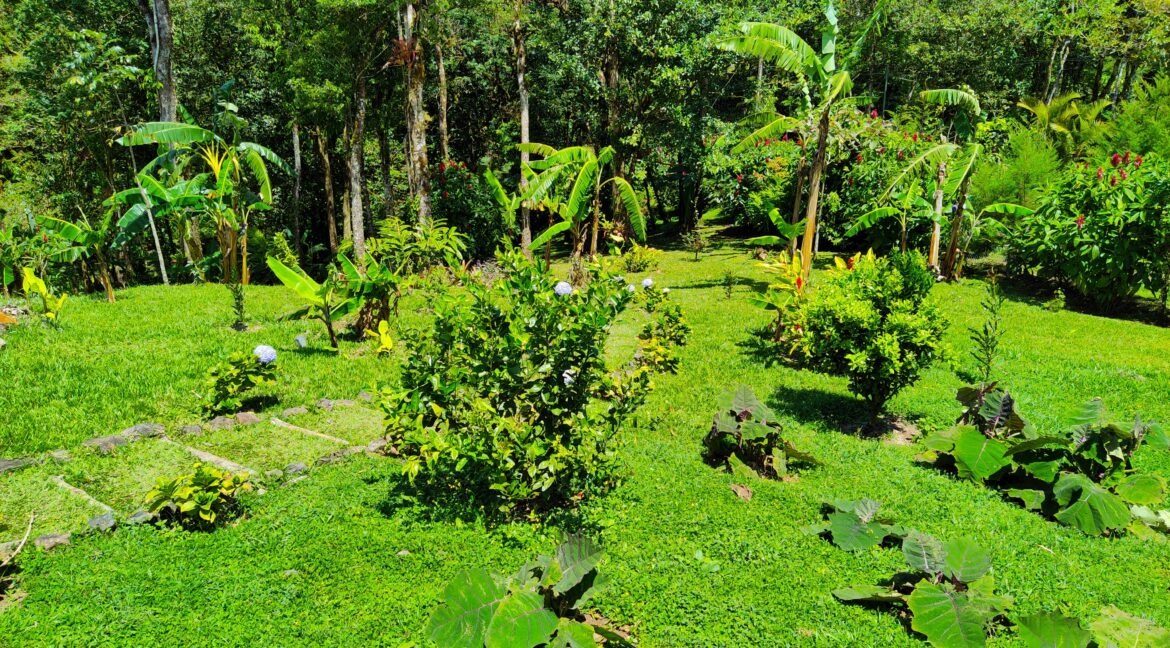 farm-home-for-sale-matagalpa-nicaragua (42)