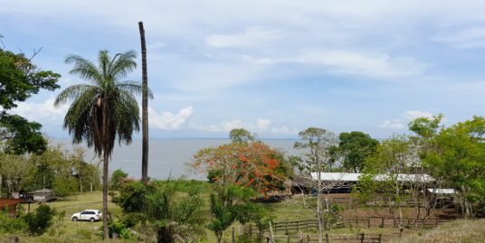 Farm of 637 Acres in front of Cocibolca Lake