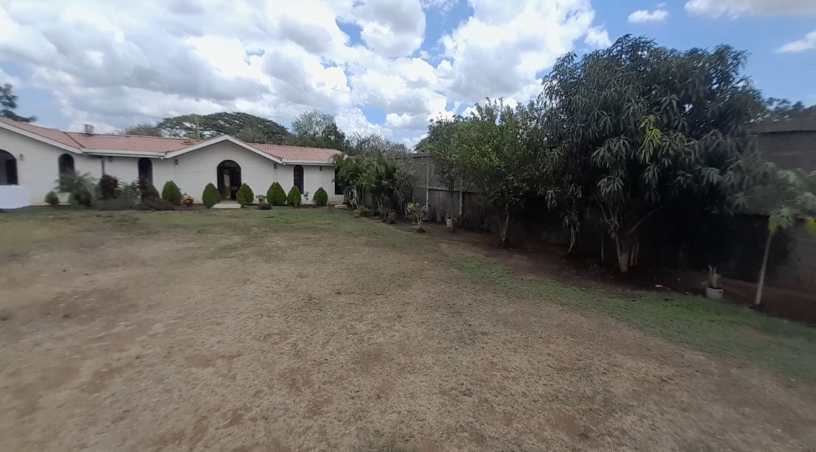 real estate (Tiempo 0_05_50;19)