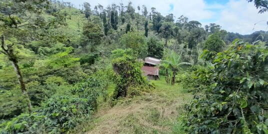 Coffee Farm on 17 Acres in Matagalpa