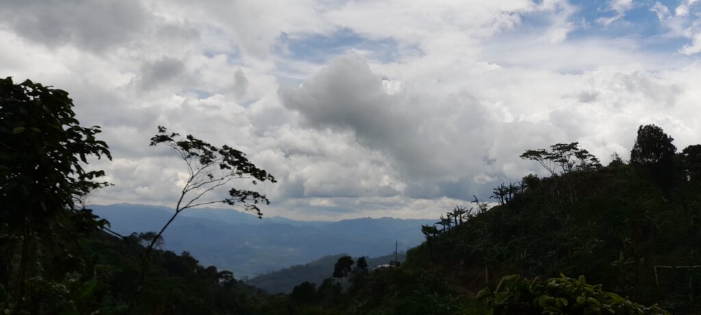 Coffee Farm on 23 Acres in Matagalpa