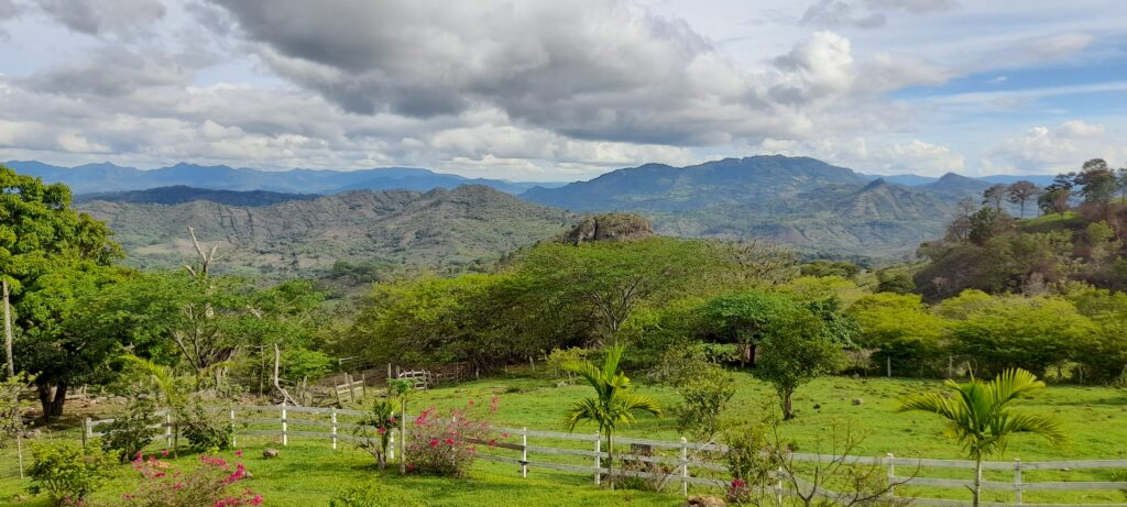 Fruit Farm on 111 ACRES in Matagalpa