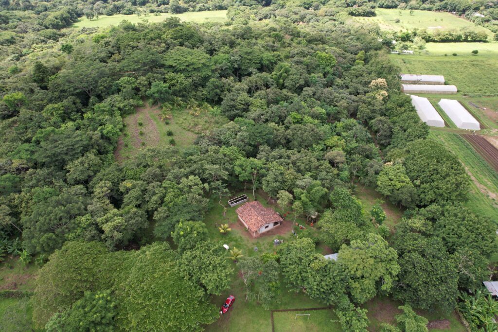 Farm for Sale on 21 Acres in Diriomo