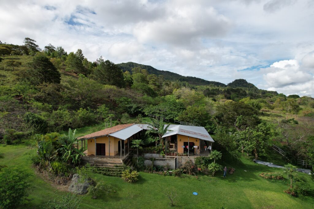 Fruit Farm on 111 ACRES in Matagalpa