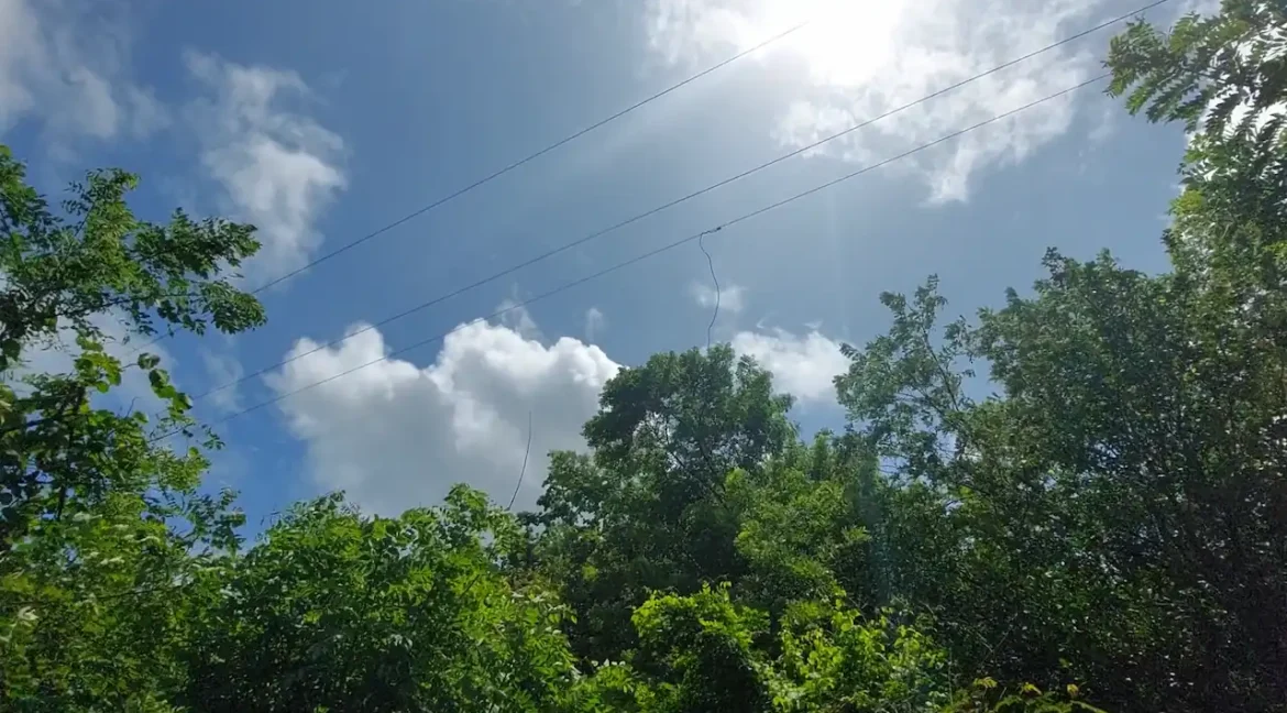 image - 2026-06-15T093519.453