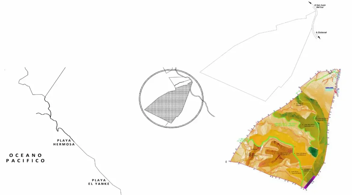 image - 2026-06-15T094349.702
