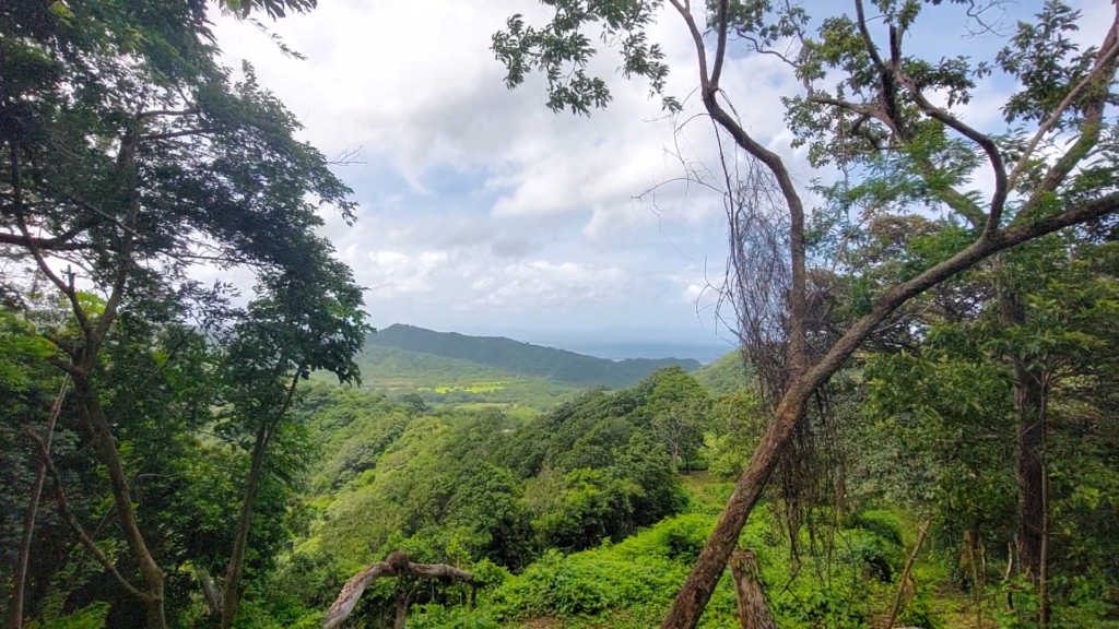 Investment Property with Ocean and Mountain Views