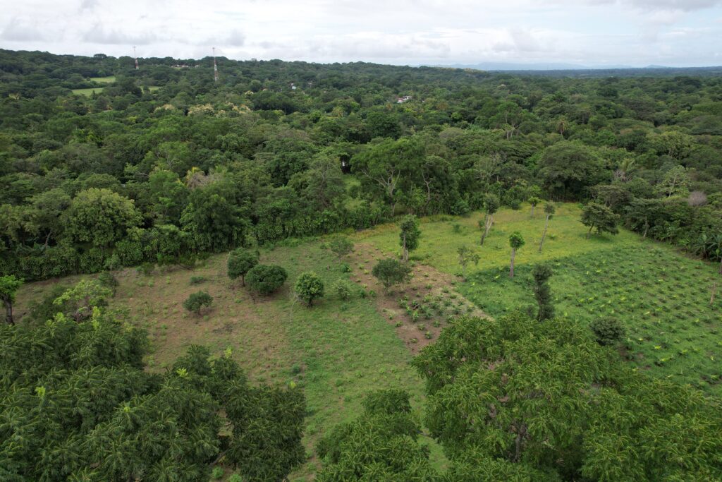 Homestead on 5 Acres in Diriomo Granada