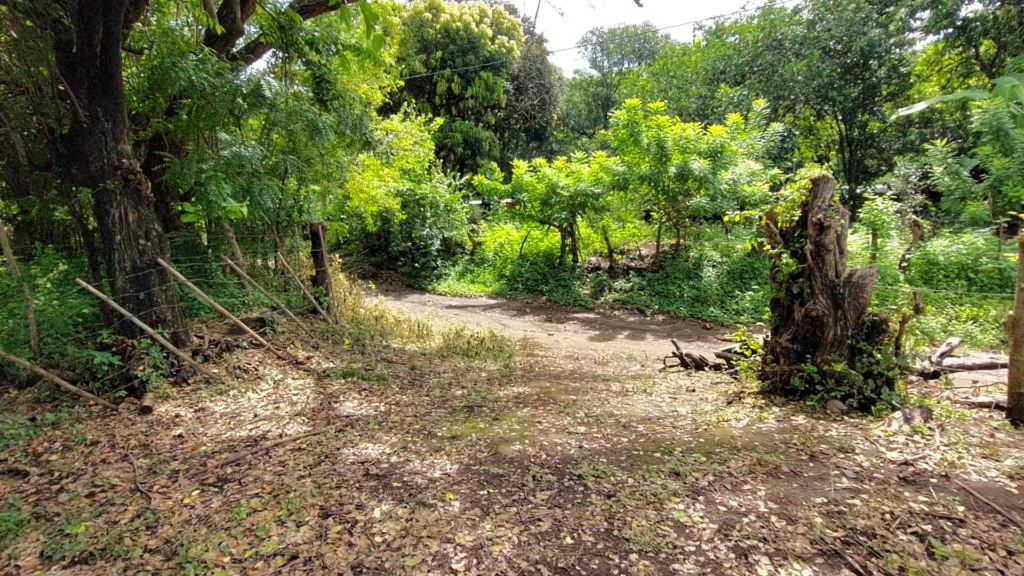 4.35 Acres Farm in Leon Nicaragua