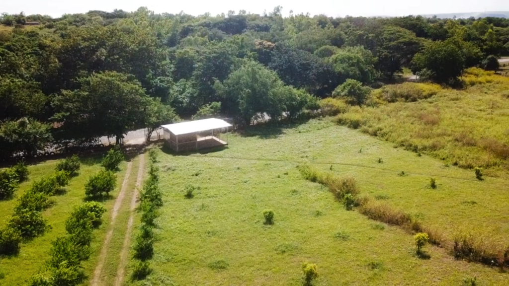 Farm on 11 Acres in Leon Nicaragua