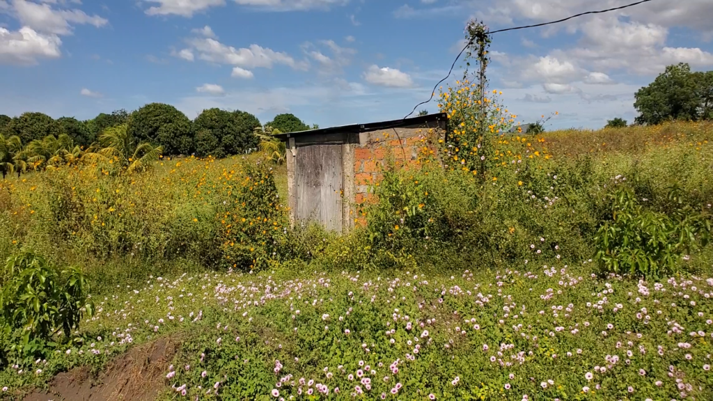 Farm on 11 Acres in Leon Nicaragua