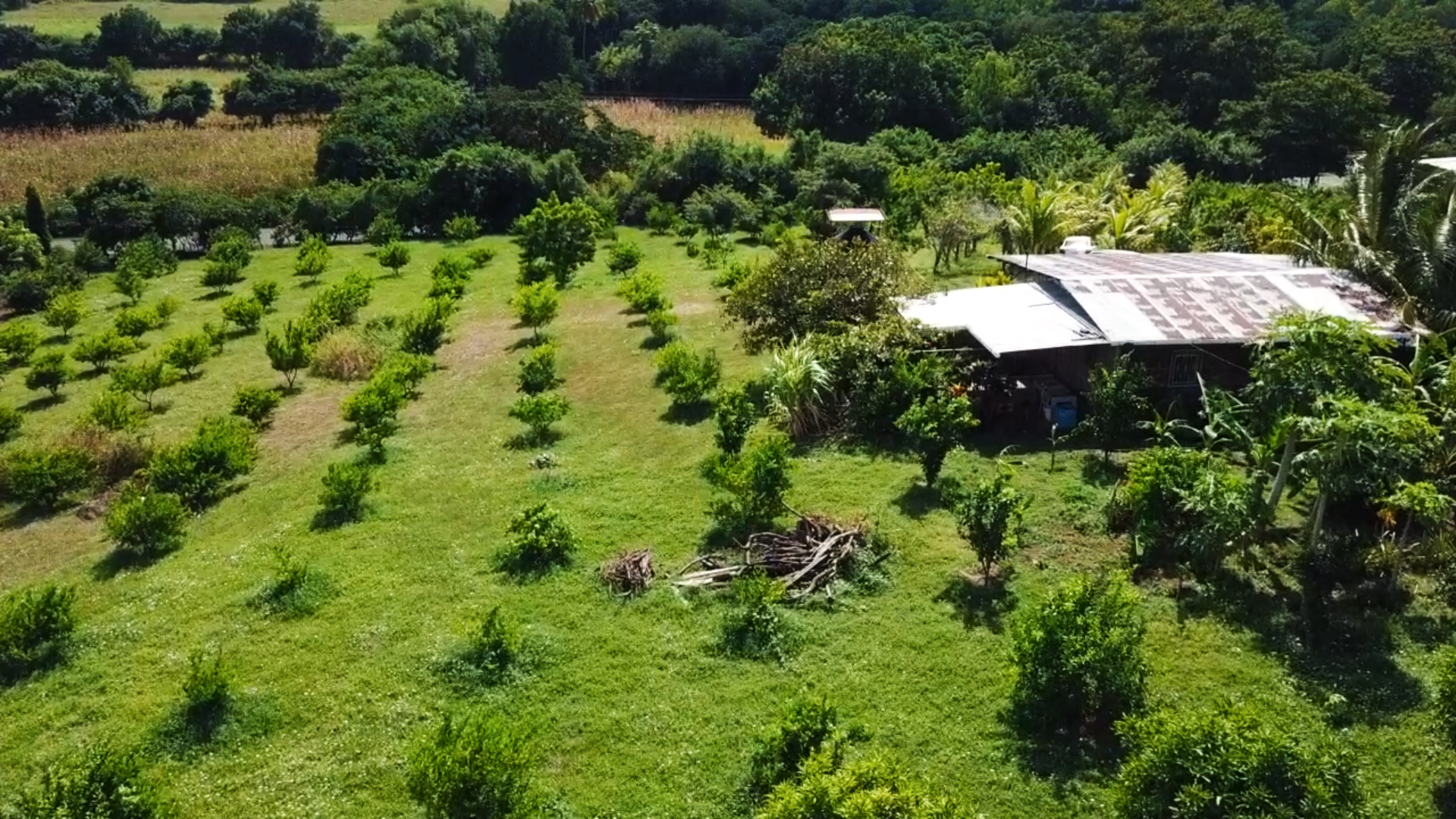 Farm on 11 Acres in Leon Nicaragua