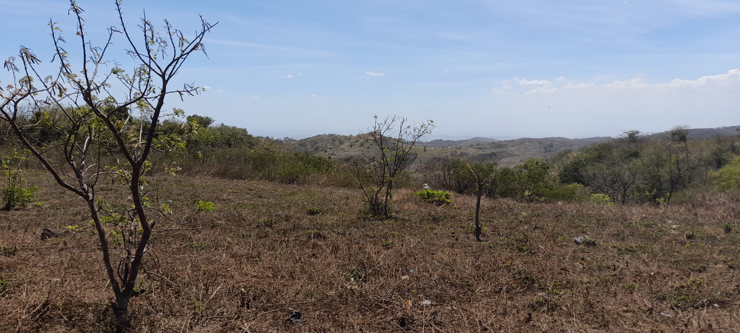 1.75 Acres of Land for Sale in Carazo
