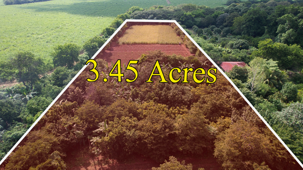 3.45 Acres Farm for Sale in Leon