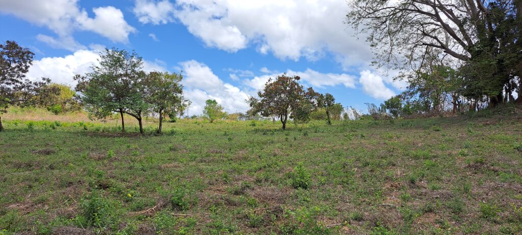 Agricultural 34.5 acres land