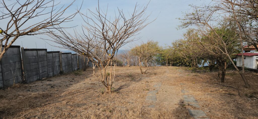 Beachfront lot in Playa Hermosa