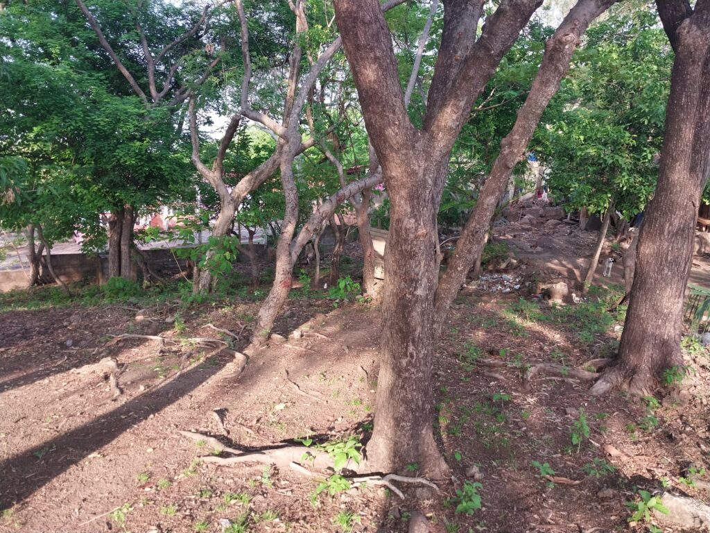 Lot in the hill of Poneloya