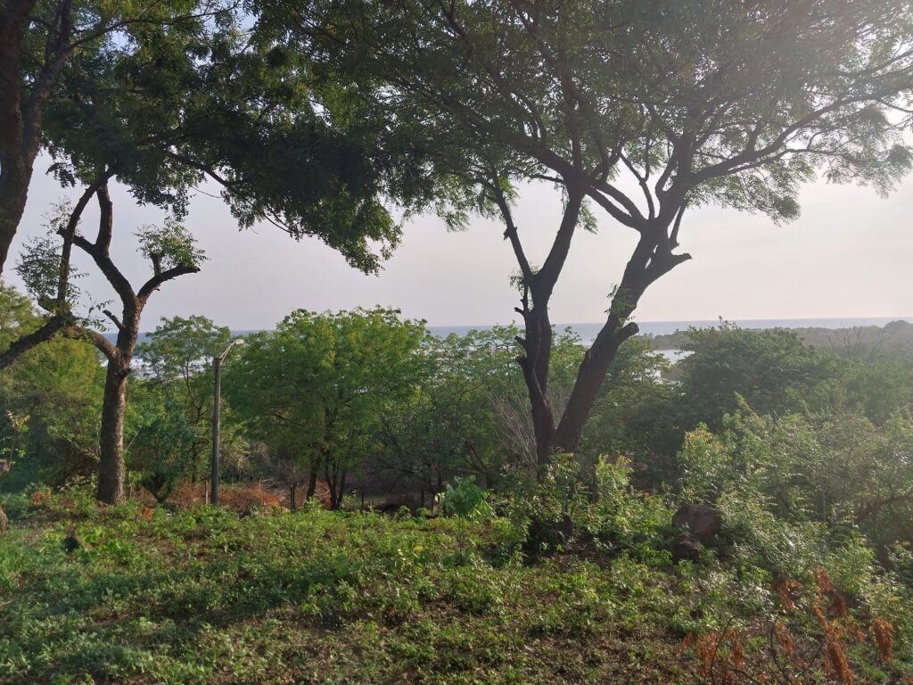 Lot for sale in the hill of Poneloya