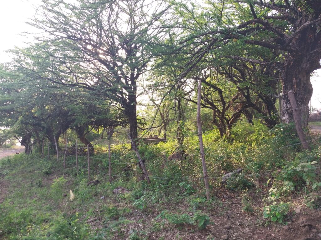 Lot for sale in the hills of Poneloya