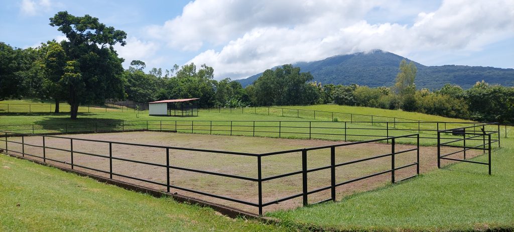 HORSE FARM on 17 ACRES of Land