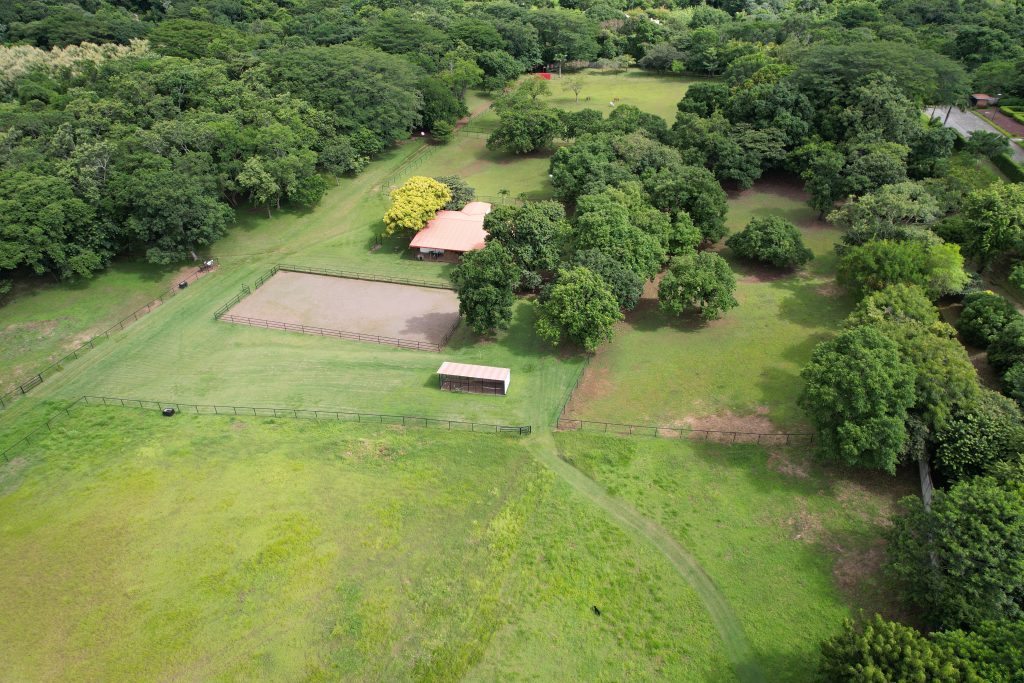 HORSE FARM on 17 ACRES of Land