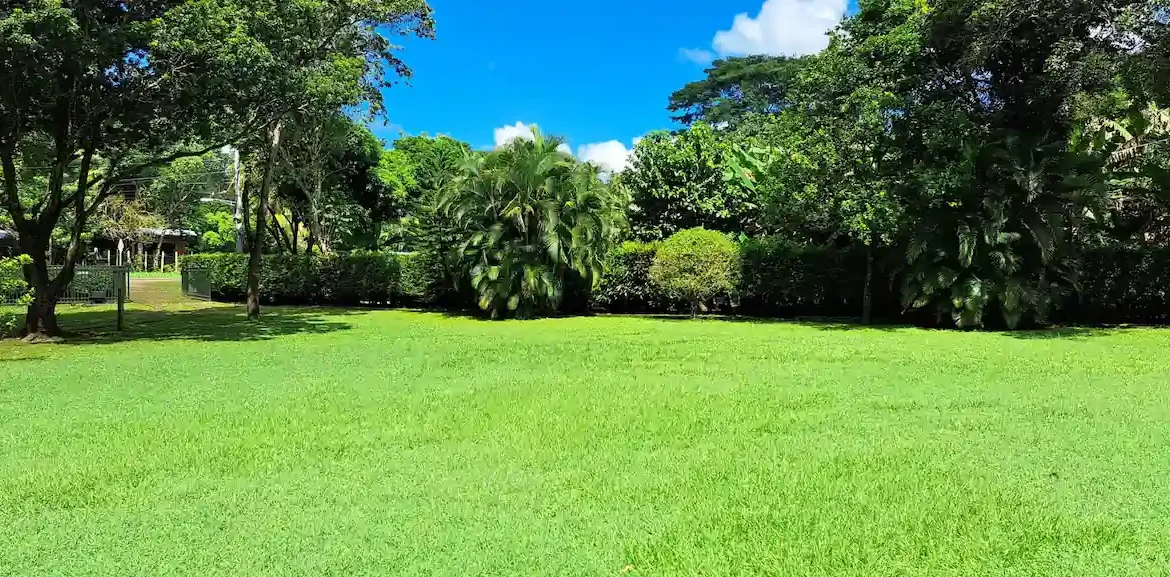 image - 2026-06-16T085533.065