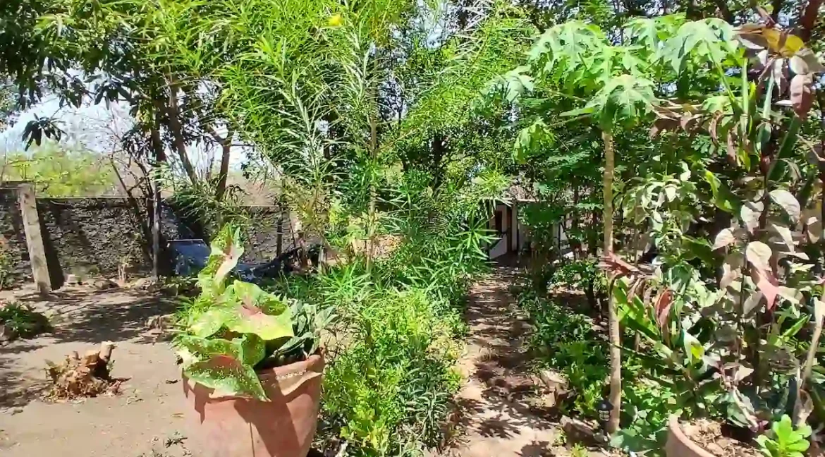 AMAZING 3 STORY OCEANVIEW HOME IN PONELOYA (54)