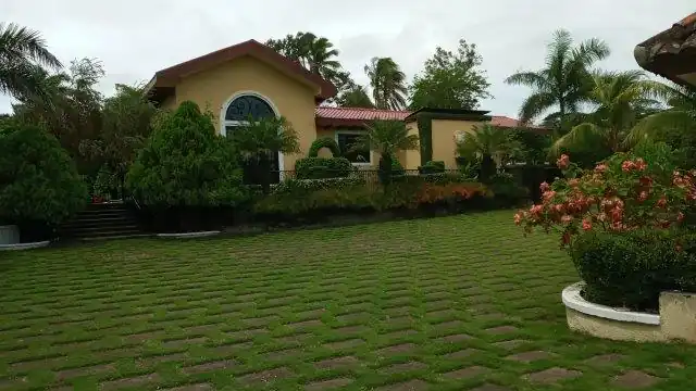 image - 2026-06-22T082530.848
