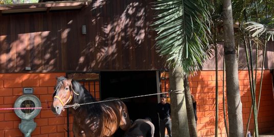 EXCLUSIVE HORSE FACILITY IN MANAGUA