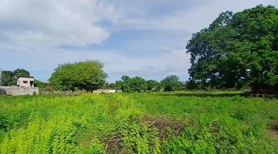 granada-lot-land-for-sale-real-estate