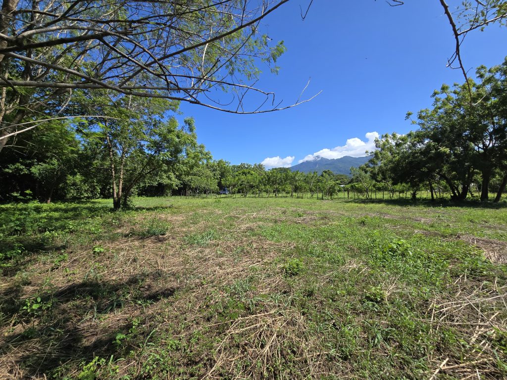 3.45 Acre Quinta