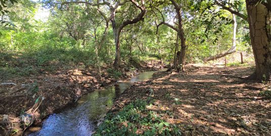 141-ACRE FARM WITH NATURAL RIVER