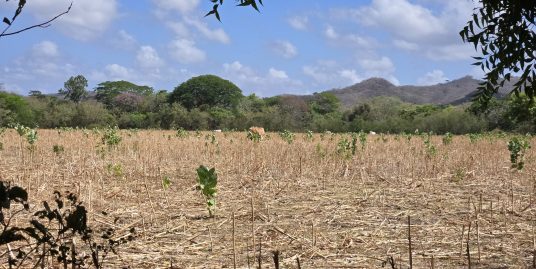 1.75 ACRE LAND CLOSE TO POPOYO BEACH!