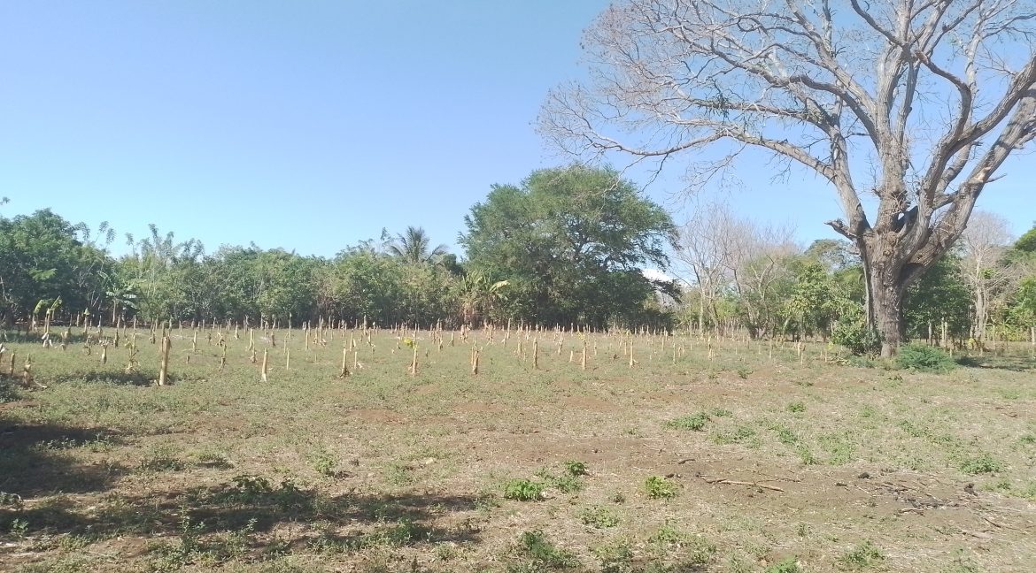 20250509_143636 - copia