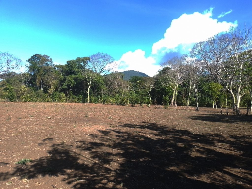 fruit farm on 1.75