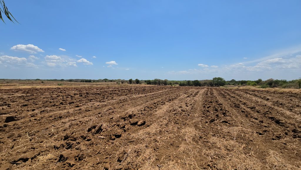 LARGE FARM ON 286 ACRES IN LEON