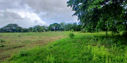 2.91 ACRES OF LAND RIGHT BY THE LAKE!
