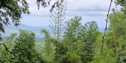 16 ACRES OF LAND FOR SALE IN CATARINA