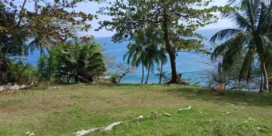 5.88-ACRE CORN ISLAND PROPERTY